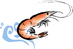 海老のイラスト