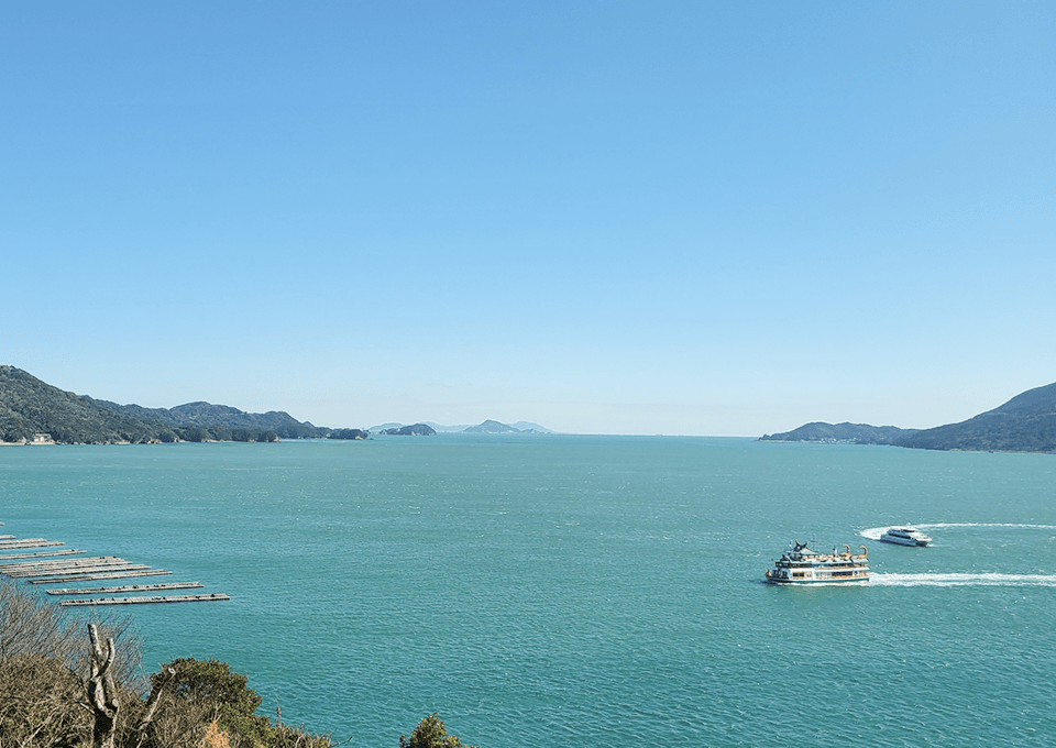 海